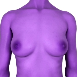Purple Haut