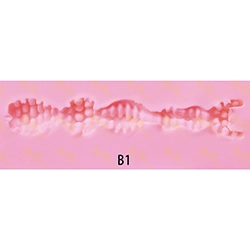 Vaginale Struktur-B1