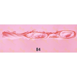 Vaginale Struktur-B4