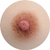 Areola-tan